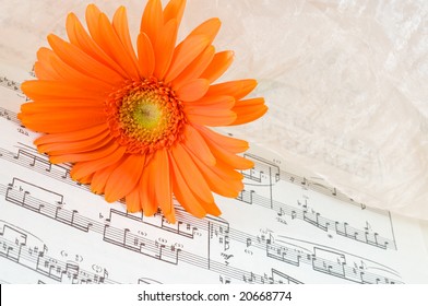 flowers and notes