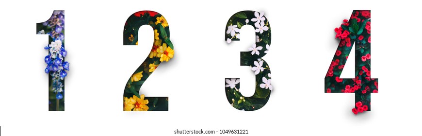 Flowers number 1, 2, 3, 4 made of Real alive flower with Precious paper cut shape of number. Collection of brilliant flora number for your unique decoration  in spring, summer or several concept ideas - Shutterstock ID 1049631221