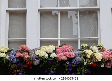 Flowers on the balcony in a typical London house