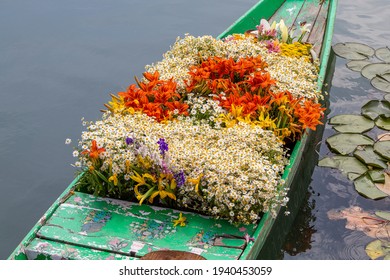 Flowers on boat at floating market in morning. Srinagar, India