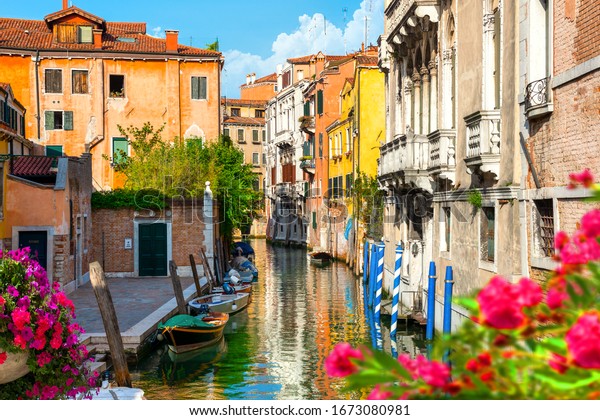 Flowers On Canal Venice Italy Stock Photo (Edit Now) 1673080981