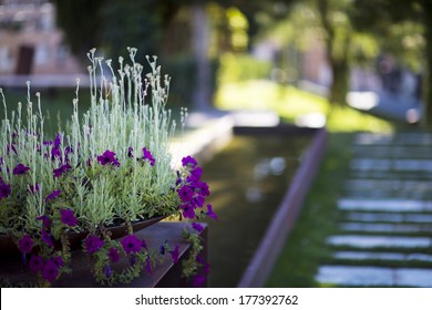 Flowers On Cemetery