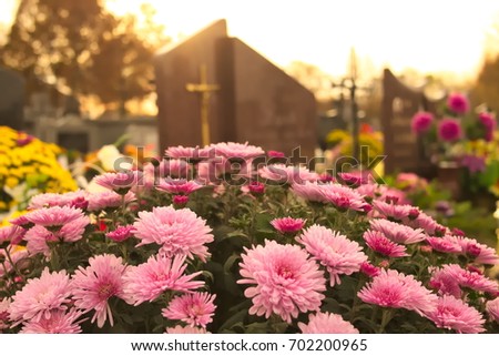 Flowers on a grave at cemetery