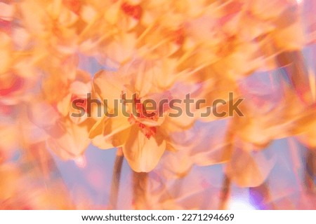 Flowers on a holographic background. The koleidoscope effect. Bouquet of daffodils.