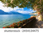 Flowers on the lake side of Bellagio, Province of Como, Lake Como, Italian Lakes, Lombardy, Italy, Europe