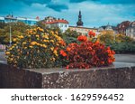 Flowers on the main square of Ostrava