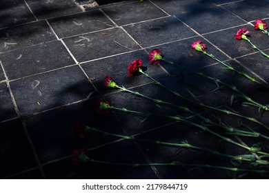 Flowers On Monument. Carnations Lie On Memorial. Red Flowers On Gravestone. Symbol Of Remembrance Of Fallen Soldiers. Details Of Holiday In Honor Of End Of Second World War.