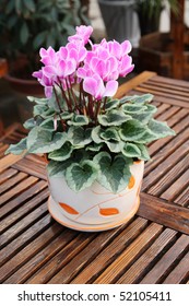 flowers on the table