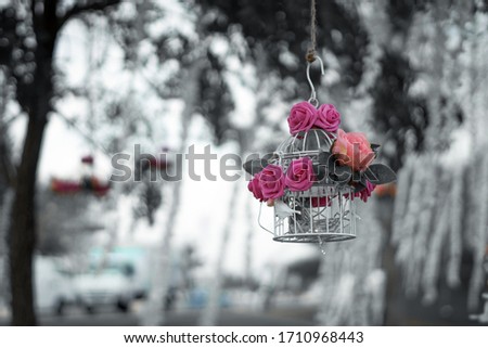 flowers on a tiny hanging flowervase