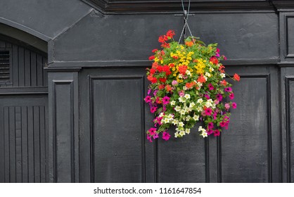 Flowers On Traditional Irish Pub Facade