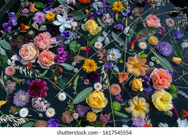 Underwater Flower High Res Stock Images Shutterstock Underwater Flower High Res Stock Images Shutterstock