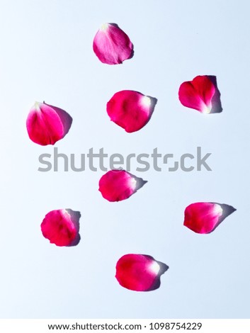 Similar – Image, Stock Photo tulip leaves Leaf Faded