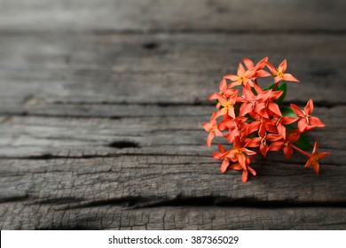 Flowers On Wood Background.