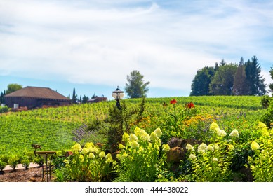 Flowers In Oregon Wine Country Near Dundee