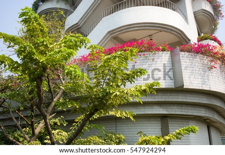 Flowers overhanging balconies of apartments overlooking tree, Bangkok, Thailand