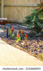 Flowers Palm Leaves And Solar Path Lights