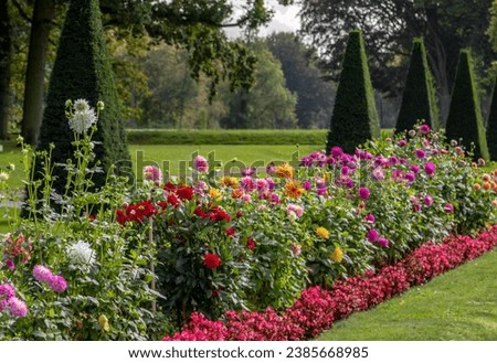 flowers in the park, image shows beautiful and various types of flowers consisting of different colours with sculpted hedges and green grass in the background, taken october 2023