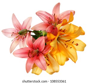 Flowers Pattern. Pink And Orange Lilies Isolated On White