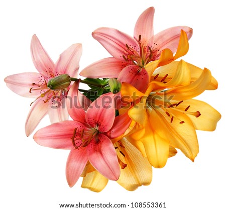 Flowers pattern. Pink and orange lilies isolated on white