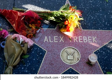 Flowers Are  Placed At The Star Of  Alex Trebek On The Hollywood Walk Of Fame, Sunday, Nov. 8, 2020, In Los Angeles.
