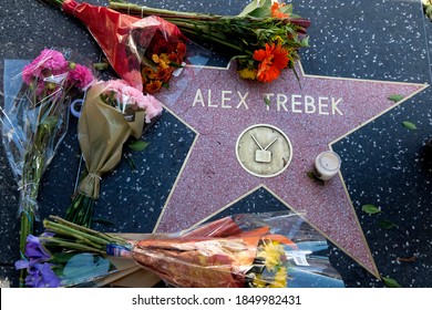 Flowers Are  Placed At The Star Of  Alex Trebek On The Hollywood Walk Of Fame, Sunday, Nov. 8, 2020, In Los Angeles.

