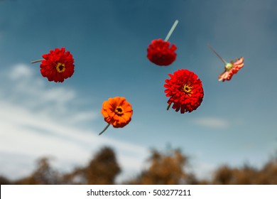Flowers planted float in weightlessness