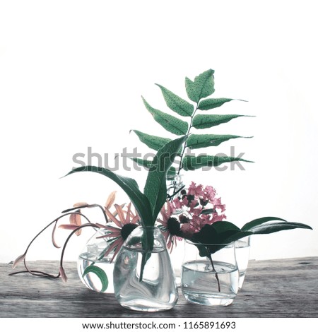 Similar – Cherry blossom branch with butterfly ornaments in glass jar