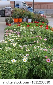 Flowers And Plants At Garden Center Sitting Outside With Semi Truck Unloading In Background And Piles Of Bags Of Dirt And Fertilizer Stacked - Selective Focus