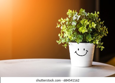 Flower Pot On Table Images Stock Photos Vectors Shutterstock