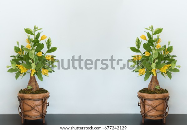 Flowers Pots Decoration On Wooden Table Stock Image Download Now