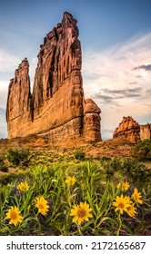Flowers at the red rocks in the canyon. Red rock canyon cliffs. Cliff in red rock canyon. Canyon desert flowers - Shutterstock ID 2172165687