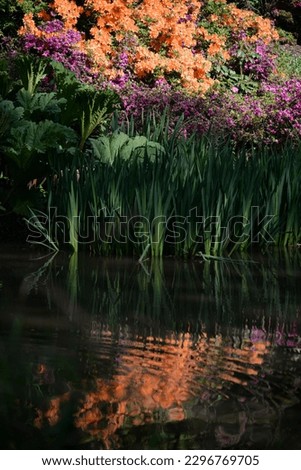 Flowers reflection in a pond in Hampstead Heath