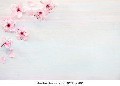 Hoa anh đào Nhật Bản - đẹp tuyệt vời và đầy tinh tế. Bức tranh với hoa anh đào sẽ mang đến cho bạn một cảm giác tươi mới, đầy sức sống. Hãy tận hưởng hình ảnh đầy cảm hứng này!