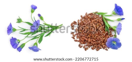 Flowers seed flax or Linum usitatissimum isolated on white background . Top view, flat lay