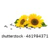 sunflower oil label