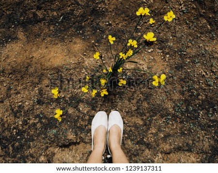 Flowers and shoes stand on the ground