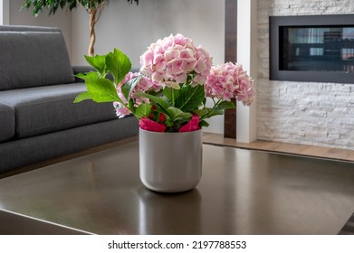 Flowers In A Sitting Room In A Modern Suburban Home In Canada.