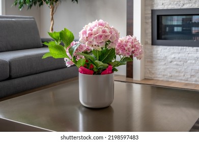 Flowers In A Sitting Room In A Modern Suburban Home In Canada.