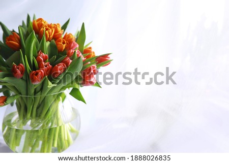 Image, Stock Photo Tulips red yellow orange purple