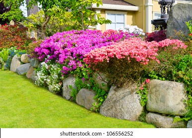 38,253 Front yard flowers Images, Stock Photos & Vectors | Shutterstock