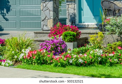 Flowers And Stones In Front Of The House, Front Yard. Landscape Design.