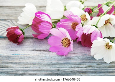 flowers style image for design, beautiful cosmos flowers on gray wooden background