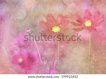 Similar – Foto Bild Herbst-Anemone Pflanze