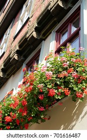Flowers at a timbered house in the old town of Quedlinburg in Germany