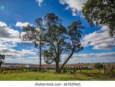 Flowers And Trees At The Nelson Mandela Museum In Qunu In South Africa