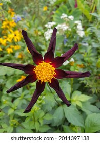 Flowers At Upper Canada Village