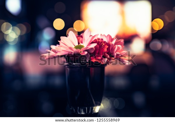 Flowers Vase Blurred Lights Background Stock Photo Edit Now