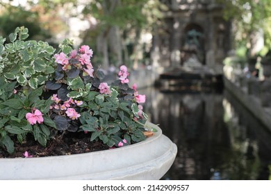 Flowers In A Vase And The Marie De Medici Fountain In The Luxembourg Park In Paris. Selective Focus.