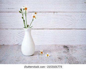 Flowers in vase on table vintage background ,Black jack ,copy space for letter ,daisy flower in white vase old wall for wallpaper or text message writing ,black and white, gray color, Bidens pilosa