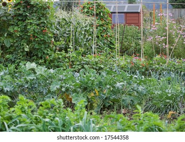 8,199 English vegetable garden Images, Stock Photos & Vectors ...